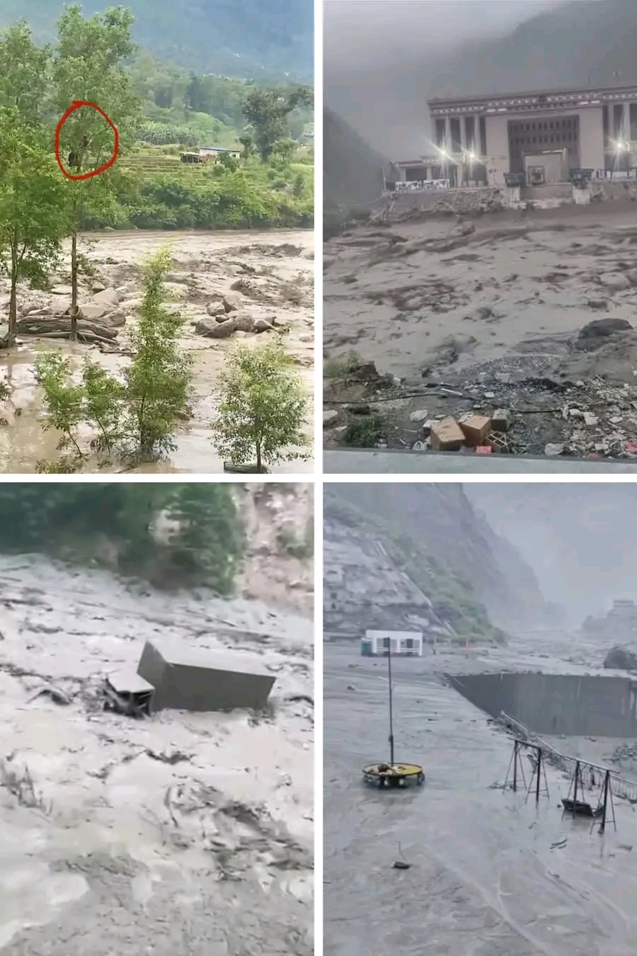 भोटेकोशी र त्रिशूलीमा बाढी: मितेरी पुलमा क्षति, दुईजना रुखमा फसेर गुहार माग्दै