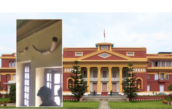 राष्ट्रपति कार्यालयबाट चोरिए हात्तीका दाह्रा