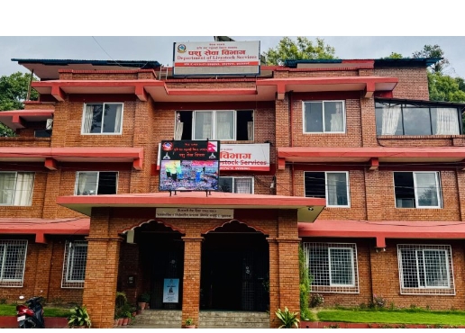पशु सेवा विभागले भन्यो- १ साउनयता बर्डफ्लु संक्रमण देखिएको छैन