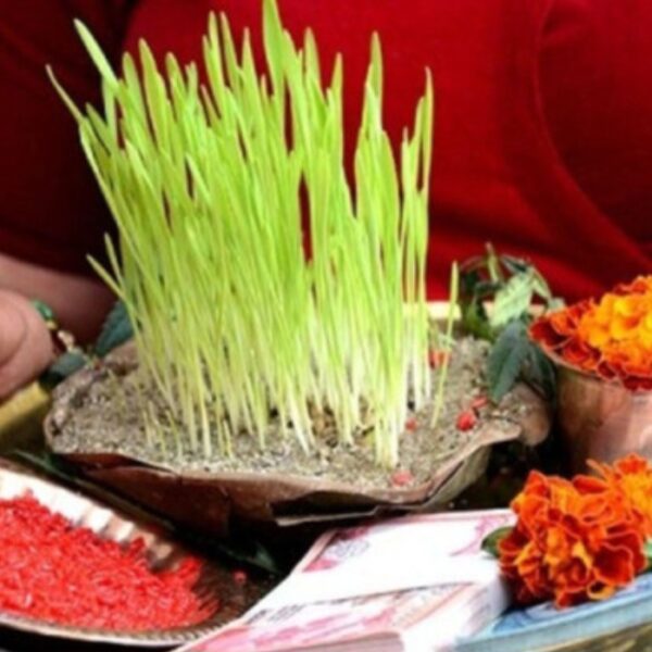 दसैंको टीकाको उत्तम साइत बिहान १०:२६ बजे